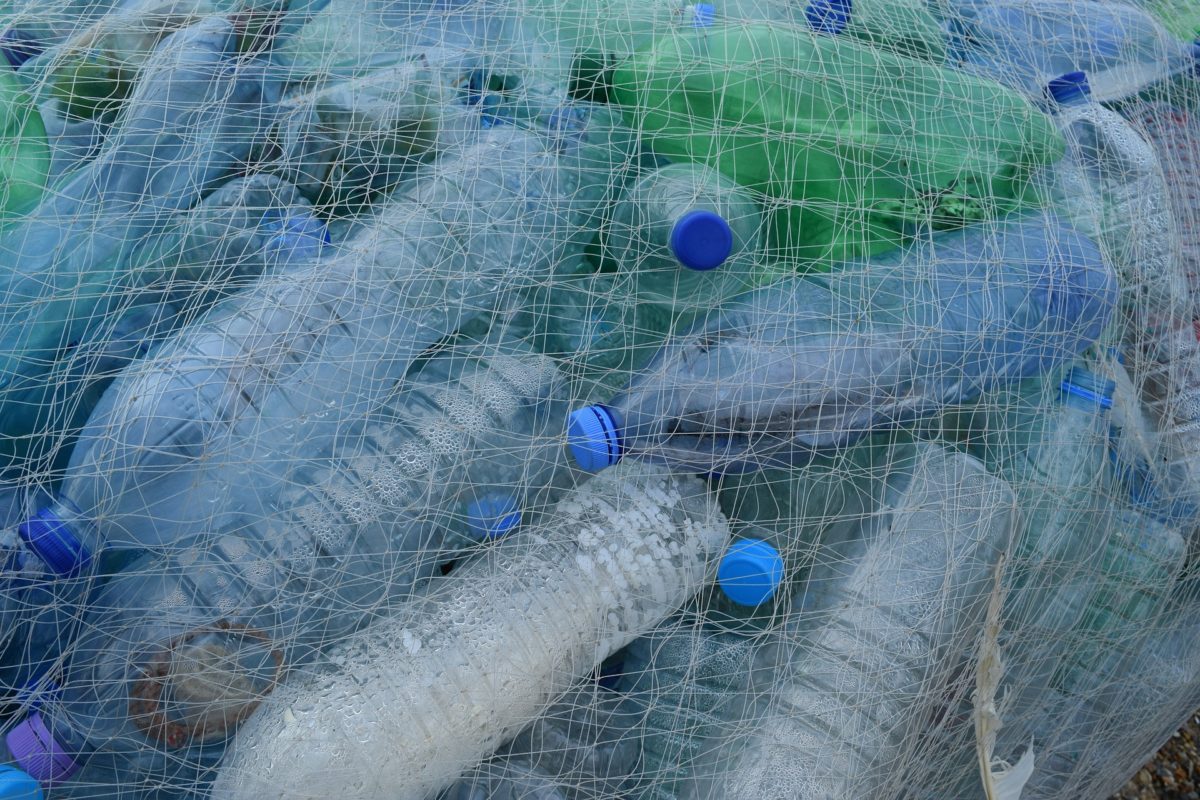 mutant-enzyme-could-break-down-plastic-bottles-for-recycling-in-hours