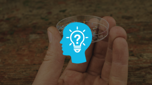 Petri dish with plastic pieces. Enlightened icon.